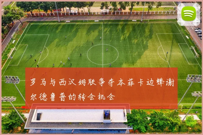 罗马与西汉姆联争夺本菲卡边锋谢尔德鲁普的转会机会
