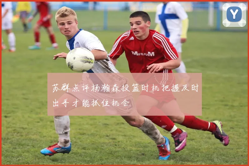 苏群点评杨瀚森投篮时机把握及时出手才能抓住机会