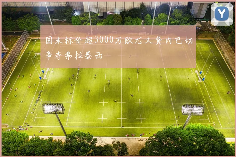 国米标价超3000万欧尤文费内巴切争夺弗拉泰西