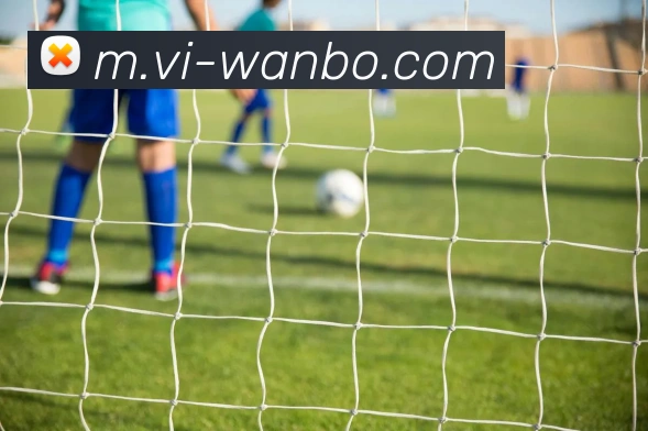 万博足球官网平台生态图