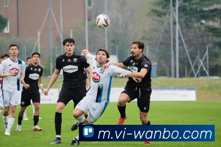 万博足球官网全站App