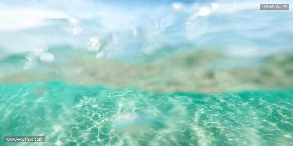 🎯把热爱穿在身上，让世界看见你的主场！